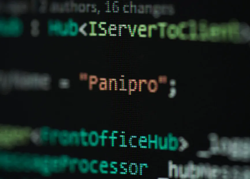The premises and the Panipro team